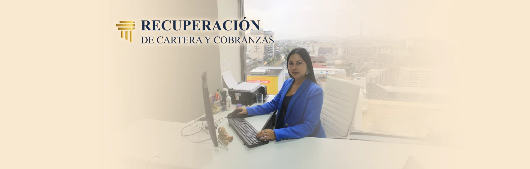 Recuperación de Cartera y Cobranzas — PALFERC